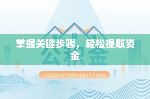 呼兰掌握关键步骤，轻松提取资金