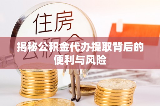 呼兰揭秘公积金代办提取背后的便利与风险