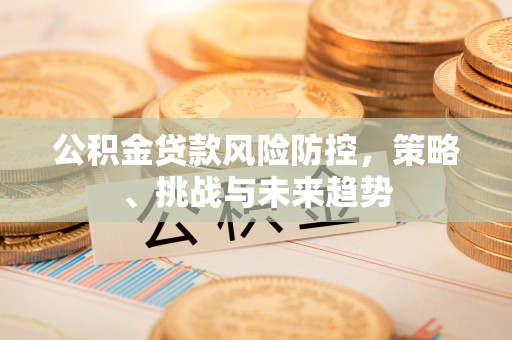 呼兰公积金贷款风险防控，策略、挑战与未来趋势
