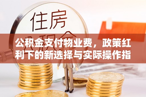 呼兰公积金支付物业费，政策红利下的新选择与实际操作指南