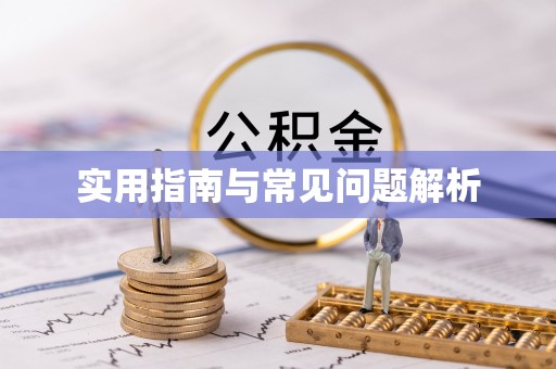 呼兰实用指南与常见问题解析