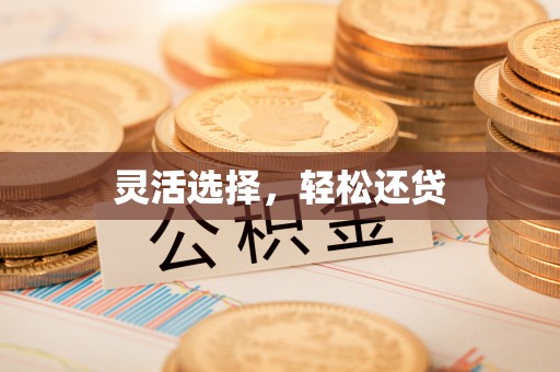 呼兰灵活选择，轻松还贷