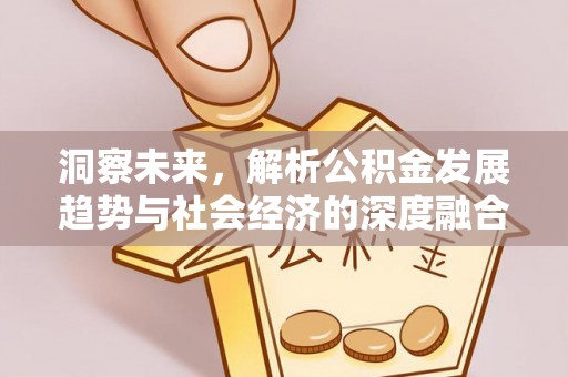 呼兰洞察未来，解析公积金发展趋势与社会经济的深度融合