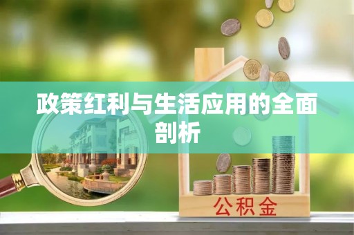 呼兰政策红利与生活应用的全面剖析