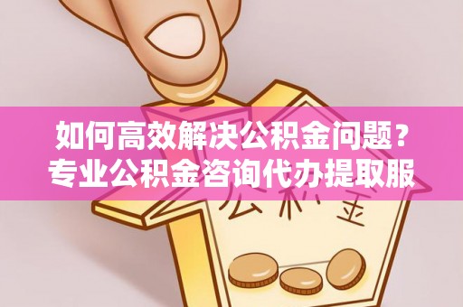 呼兰如何高效解决公积金问题？专业公积金咨询代办提取服务来帮你