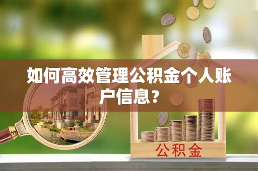 呼兰如何高效管理公积金个人账户信息？