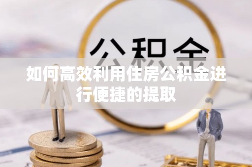 呼兰如何高效利用住房公积金进行便捷的提取