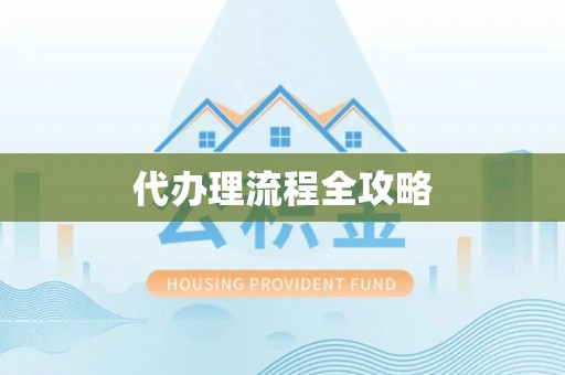 呼兰代办理流程全攻略