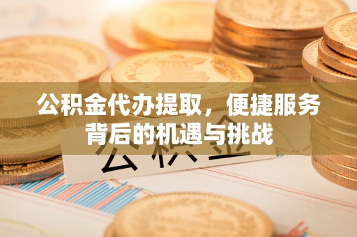呼兰公积金代办提取，便捷服务背后的机遇与挑战