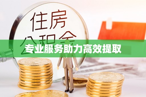 呼兰专业服务助力高效提取