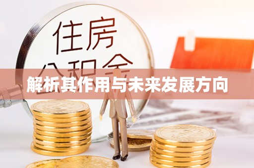呼兰解析其作用与未来发展方向