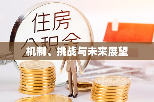 呼兰机制、挑战与未来展望