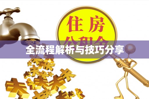 呼兰全流程解析与技巧分享